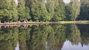 Утренний обзор с нижнего водоёма. Клёвое место, Лосиный остров.