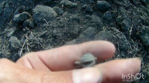 Отличные находки, коп по старине