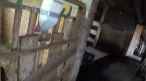 Ну вот и Нюру дождались мы !