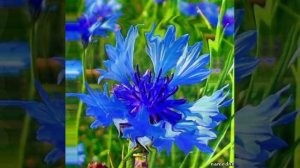 А будь, что будет © Copyright: Бронислав Сычёв, 2025
Свидетельство о публикации №125062802334