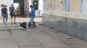 Обстановка на Текстильщике сегодня.