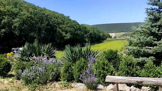 Прогулка по старым местам. смотреть онлайн