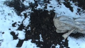 Как укрывать плетистые розы на зиму