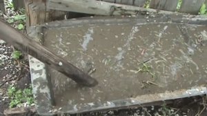Чем подкормить растения весной