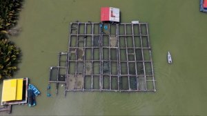 🇲🇾🌊Экологи Малайзии борются с красными приливами