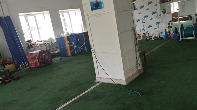 экскурсия по дрессцентру в Муроме