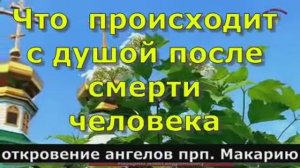 Что  происходит с душой после смерти человека