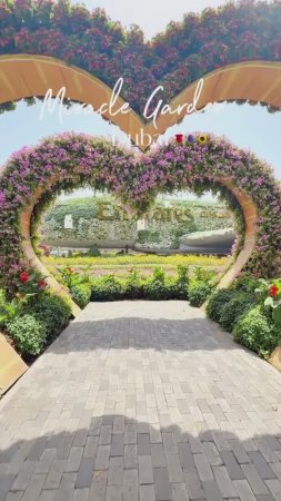 Сад цветов Miracle Garden. Дубай, ОАЭ.