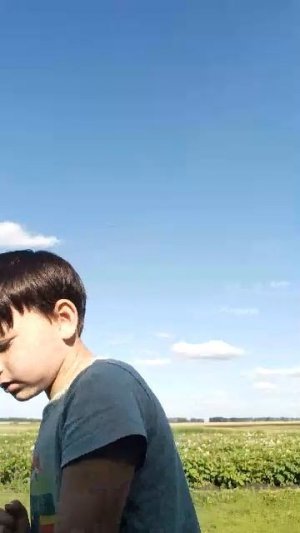 находки в сарае