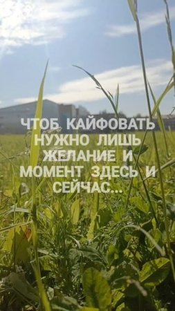 Живи здесь и сейчас 🌿кайфуй от простых вещей 🌞 Не трать жизнь на ожидание чуда — ты уже в нём