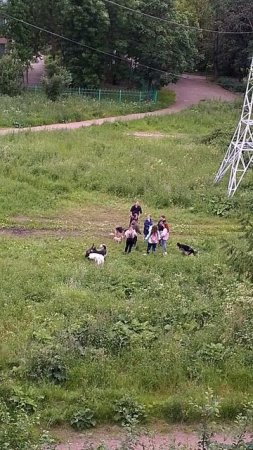 VID_20250627_214132
