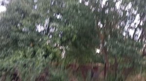 28 июня 2026