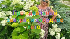 Про идеальный завтрак  за 46 рублей и  холодное лето/