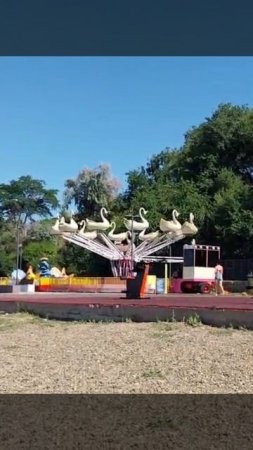 красиво летят