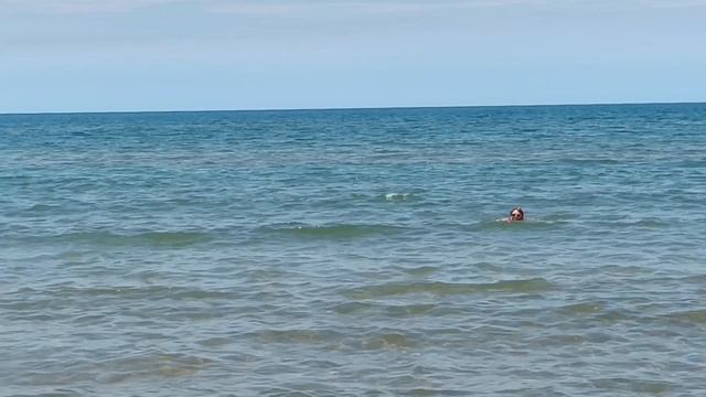Азовское море. Курортное 2025.