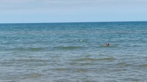 Азовское море. Курортное 2025.