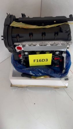 f16d3 ml (3)