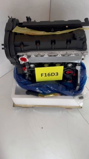 f16d3 ml (3)