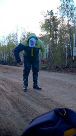 ОТЛИЧНАЯ РЫБАЛКА! #shorts #рыбалка #fishing #рыба #fish #эдвардкосичка #природа #nature #отдых