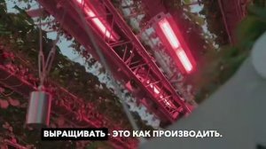 Dyson теперь продают... КЛУБНИКУ — компания собрала в Англии вращающуюся установку.