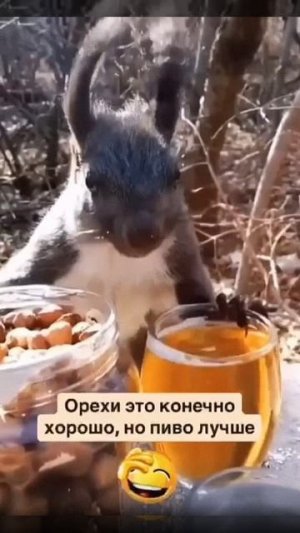 Выбор всегда есть