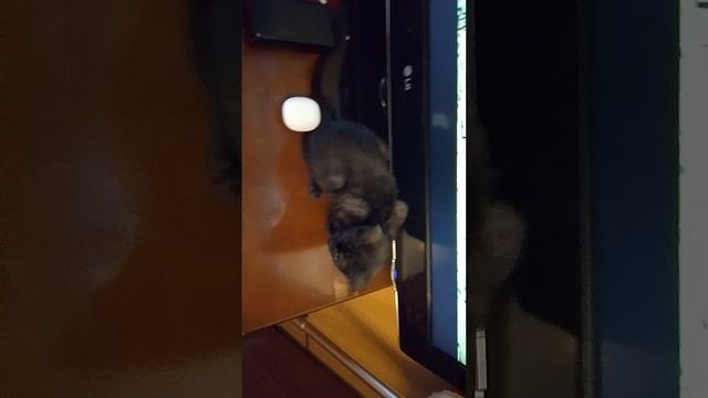 1000044764.mp4