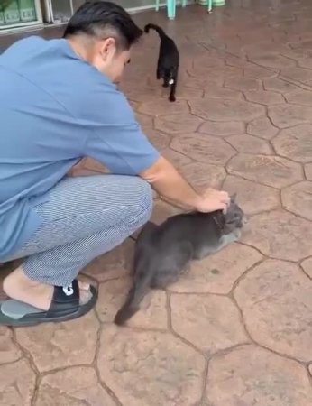 Подпишись 👉 https://vk.com/ykrasheniy_iz_kamny