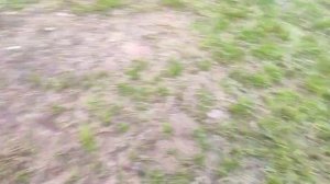 WhatsApp Video 2025-06-28 at 10.42.25