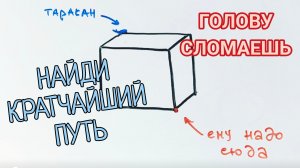 Задача про таракашку, которая ставит в тупик 80% делу и взрослых