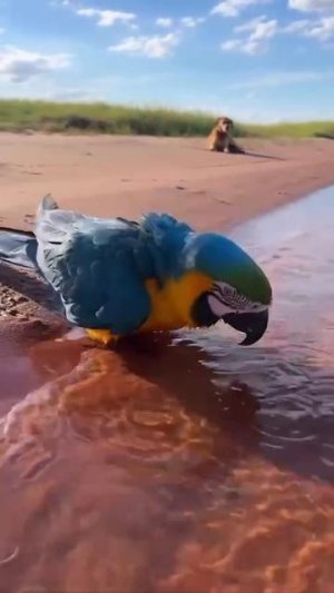 Водные процедуры