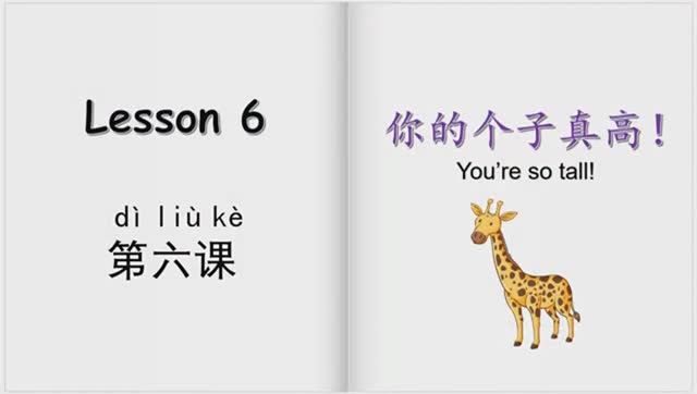 Yct1_6 Части тела и описание человека на китайском