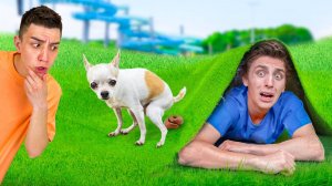 А4 : Самый Лучший СПОСОБ для ПРЯТОК ! ВЛАД А4