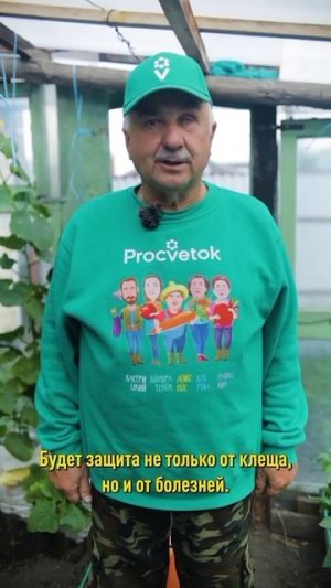 Увидели эти признаки на листьях огурцов и баклажанов? Нужна срочная помощь!
