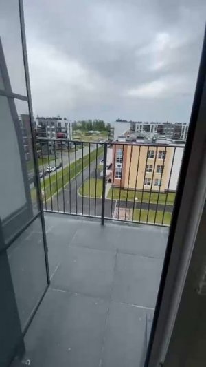 Москитная дверь, пулковское шоссе