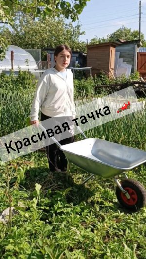 Красивая тачка 🤣