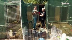 Клуб Шико. Выпуск от 28.06.25