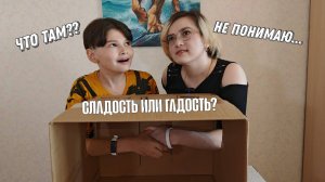 СЛАДОСТЬ ИЛИ ГАДОСТЬ — ЧЕЛЛЕНДЖ  **feat ЛИЛЮКА**