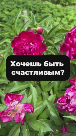 Как работает мозг. Бесплатный марафон "Включи наблюдателя" 👉🏼 t.me/tvoichary