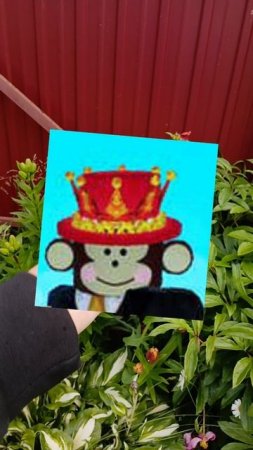jandel в руке 🍬🦝🥝🌴🥇