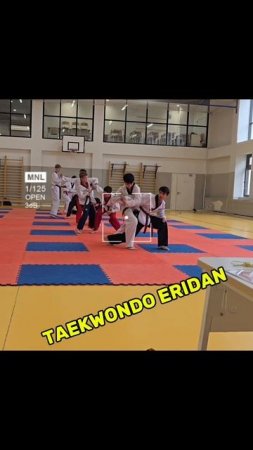tkd.eridan