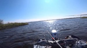 ОН ЗНАЕТ ГДЕ ЛОВИТЬ!! ОКУНИ МУТАНТЫ ПО БОЛЬШОЙ ВОДЕ!!! ЛЕТНЯЯ РЫБАЛКА!!