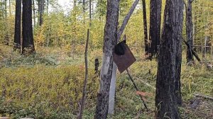 Таежное озеро. Старый заброшенный лагерь. Эпизод