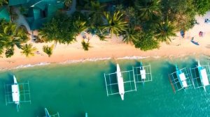 Лесная гармония и дыхание Земли — Погружение в природное спокойствие