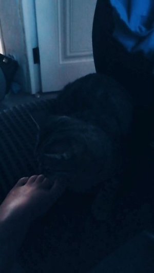 HwVideoEditor_2025_06_28_192351379.mp4