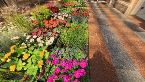 Insta 360 Ace Pro 2 4k 60 fps HDR test - aquadance, flowers