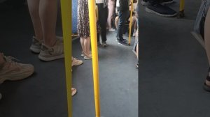 Автобус белгород