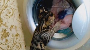 Муся в ШОКЕ😭😭😭