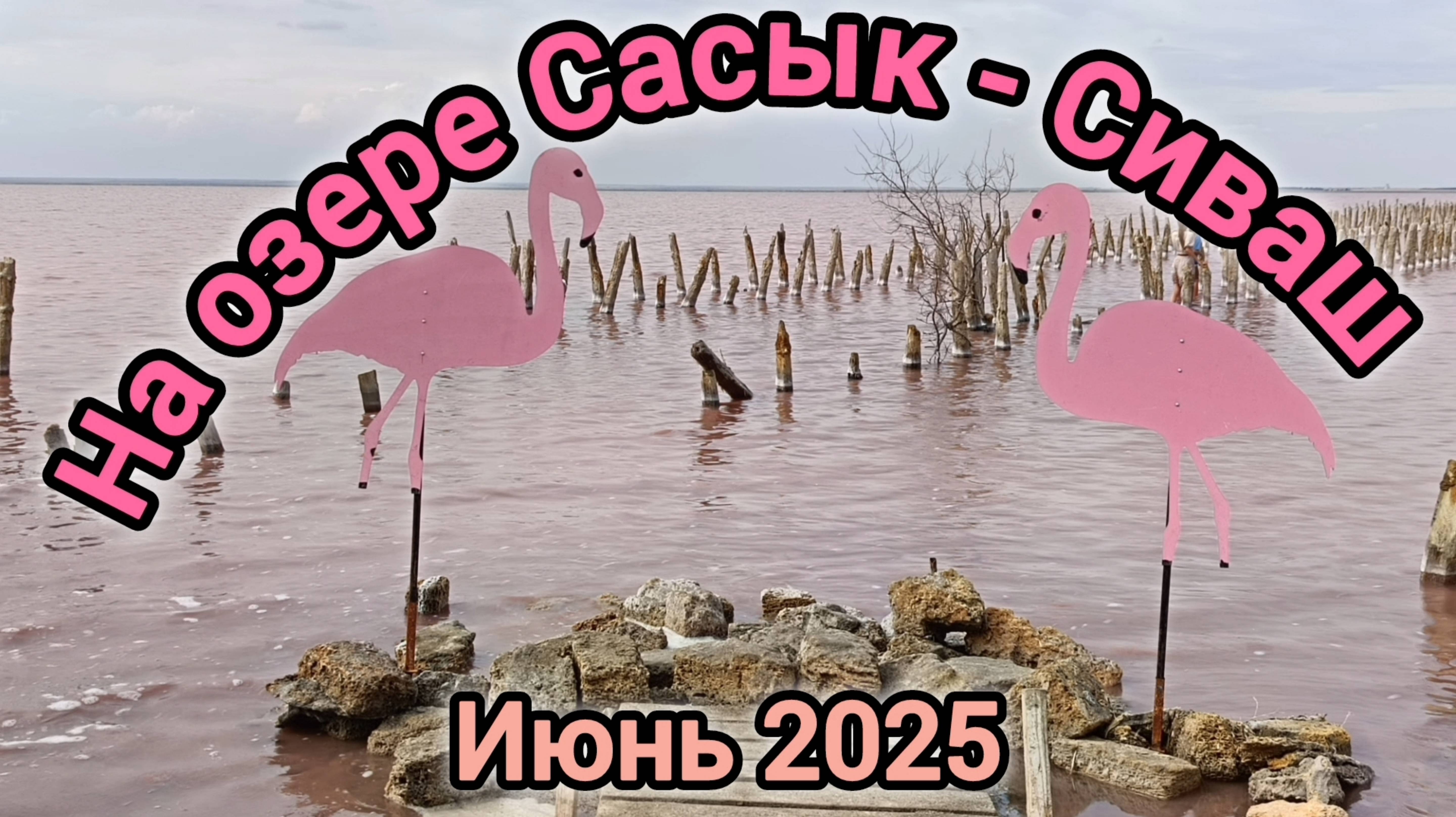 НА ОЗЕРЕ САСЫК- СИВАШ. КРЫМ
