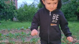 Андрей Новиков. Совсем другая картина! Есть изменения