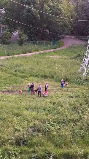 VID_20250628_214338